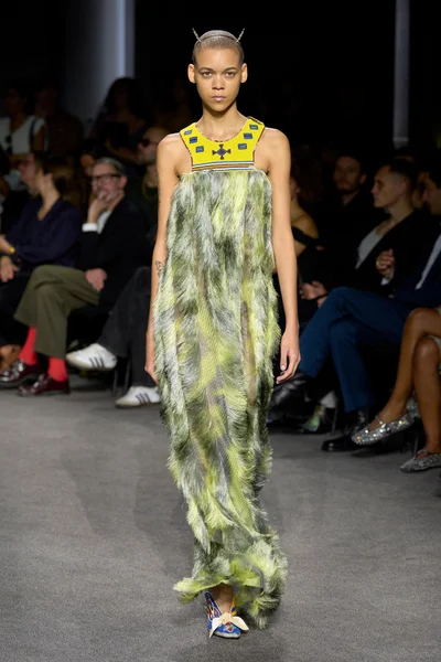 Look 29